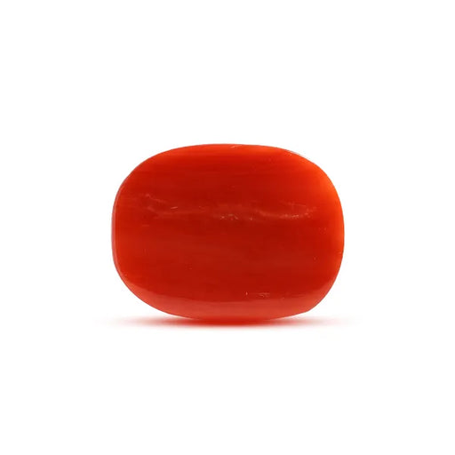 Red Coral - 10.5 carats