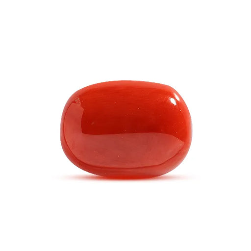 Red Coral - 10.5 carats