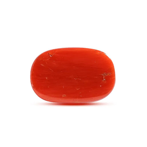Red Coral - 10.68 carats