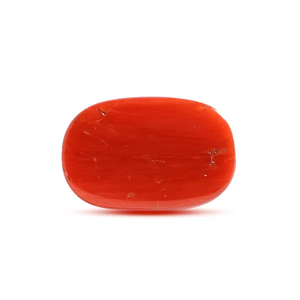 Red Coral - 10.68 carats