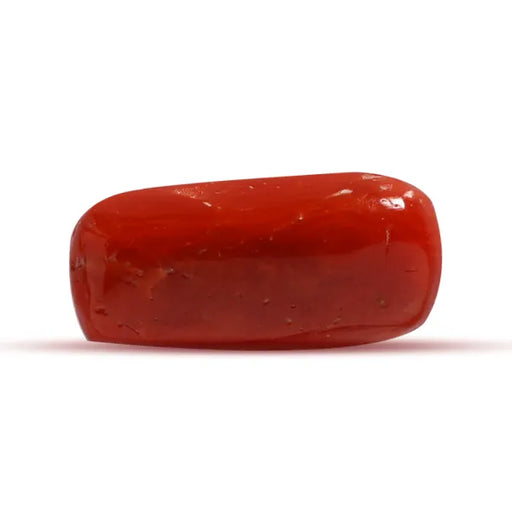 Red Coral - 2.29 carats