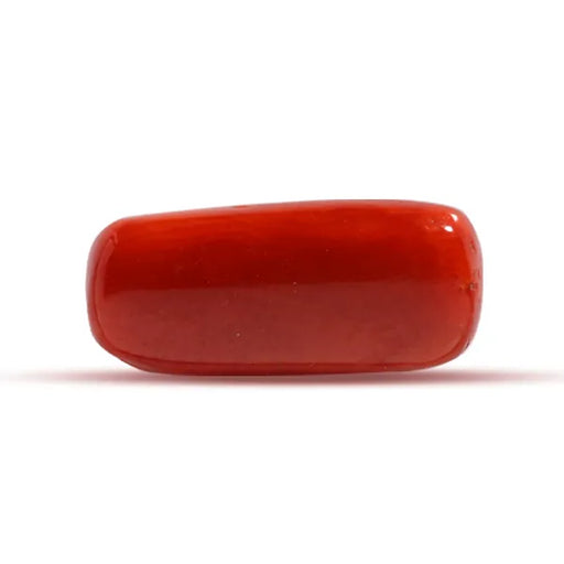 Red Coral - 2.39 carats