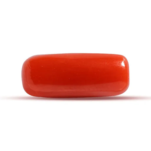 Red Coral - 2.43 carats