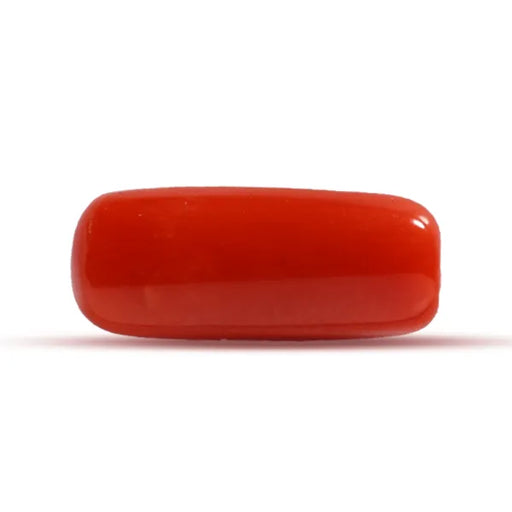 Red Coral - 2.43 carats