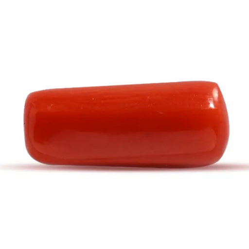 Red Coral - 2.46 carats