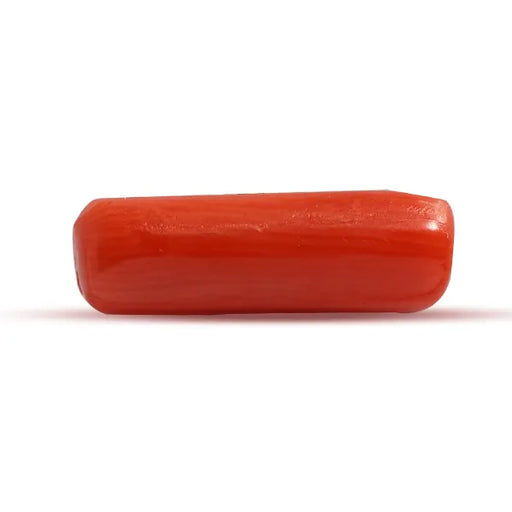Red Coral - 2.48 carats