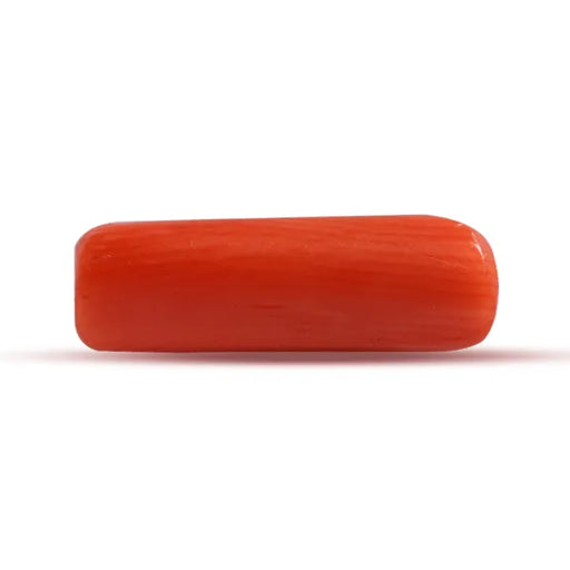 Red Coral - 2.48 carats