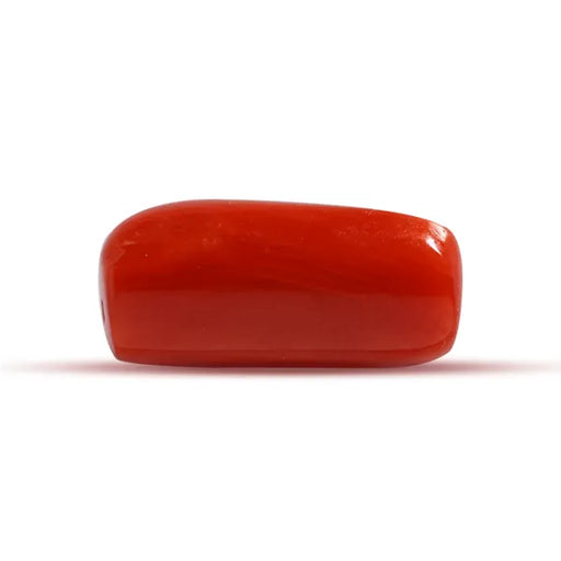 Red Coral - 2.71 carats