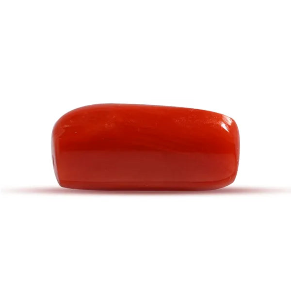 Red Coral - 2.71 carats