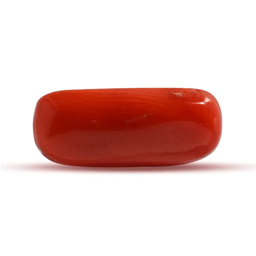 Red Coral - 2.75 carats