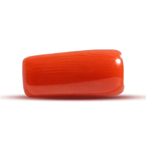 Red Coral - 2.83 carats