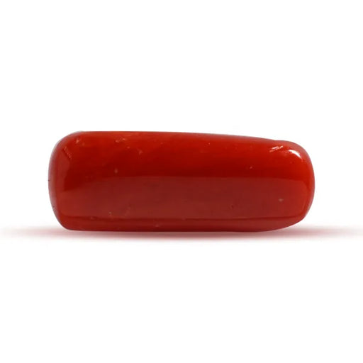 Red Coral - 2.83 carats
