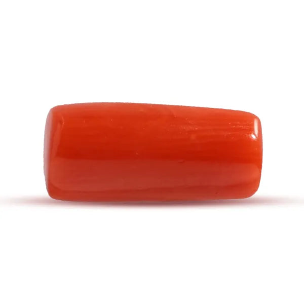Red Coral - 2.83 carats