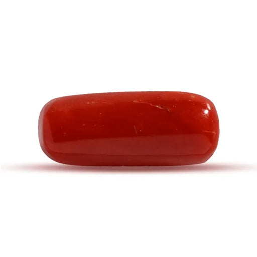 Red Coral - 2.83 carats