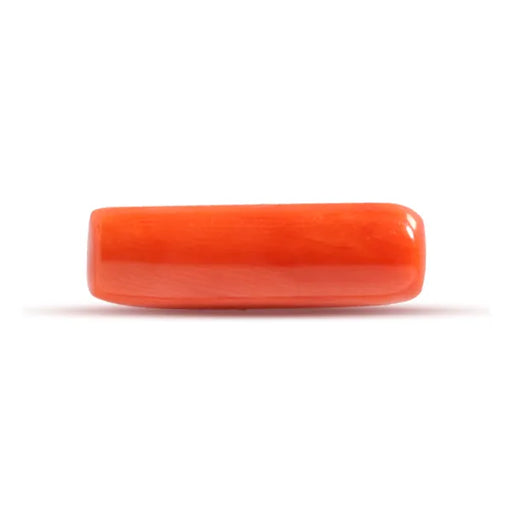 Red Coral - 3.56 carats