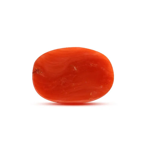 Red Coral - 6.61 carats