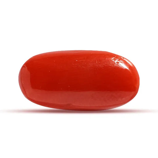 Red Coral - 6.71 carats
