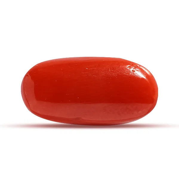 Red Coral - 6.71 carats