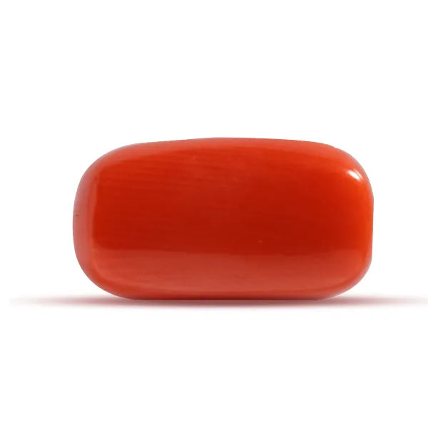 Red Coral - 6.8 carats