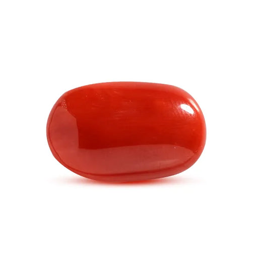 Red Coral - 6.8 carats