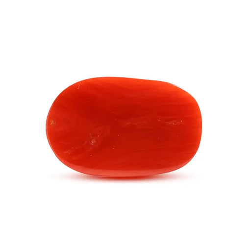 Red Coral - 6.8 carats
