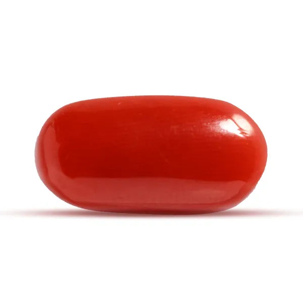 Red Coral - 6.88 carats