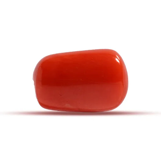 Red Coral - 6.9 carats