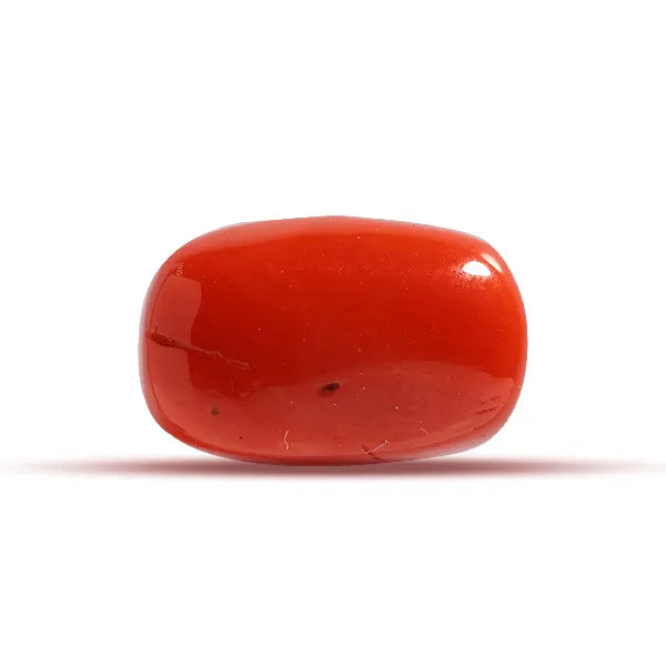 Red Coral - 7.02 carats