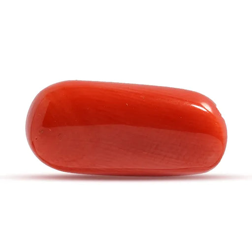 Red Coral - 7.06 carats