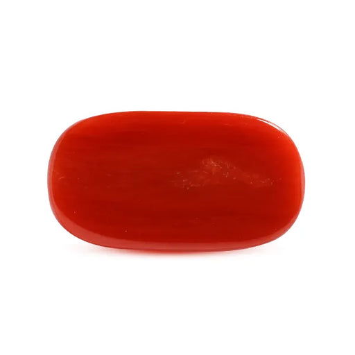 Red Coral - 7.22 carats