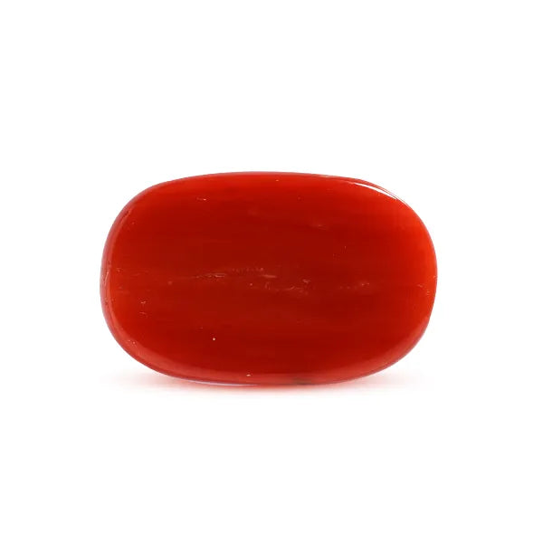 Red Coral - 7.26 carats