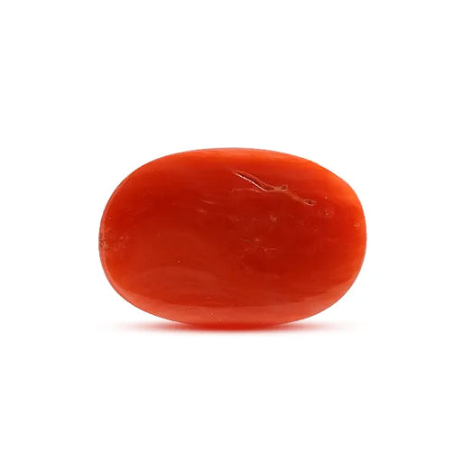 Red Coral - 7.91 carats