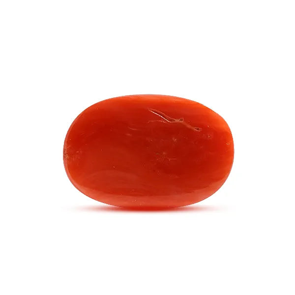 Red Coral - 7.91 carats