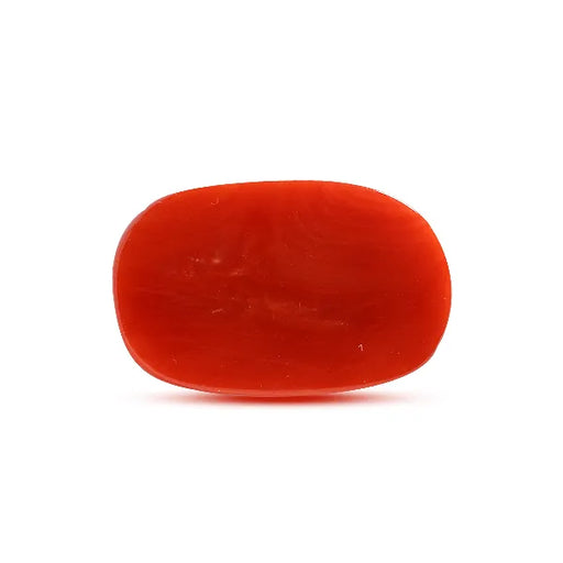 Red Coral - 8.2 carats