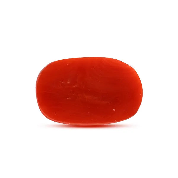 Red Coral - 8.2 carats