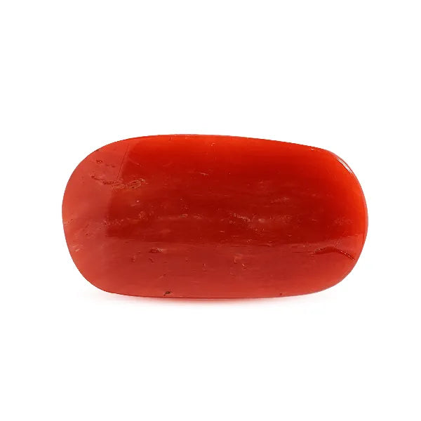 Red Coral - 8.27 carats