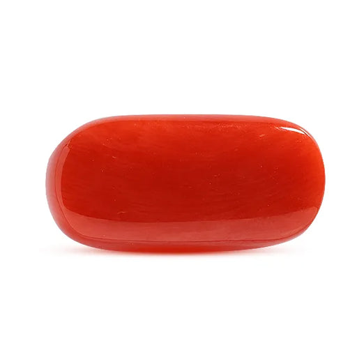 Red Coral - 8.34 carats