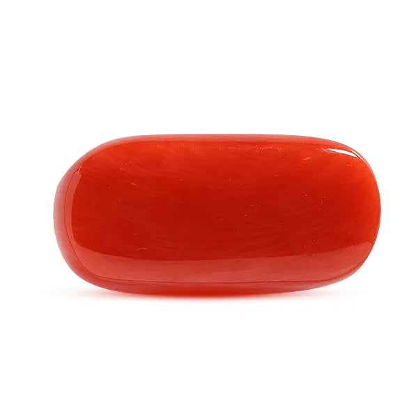 Red Coral - 8.34 carats