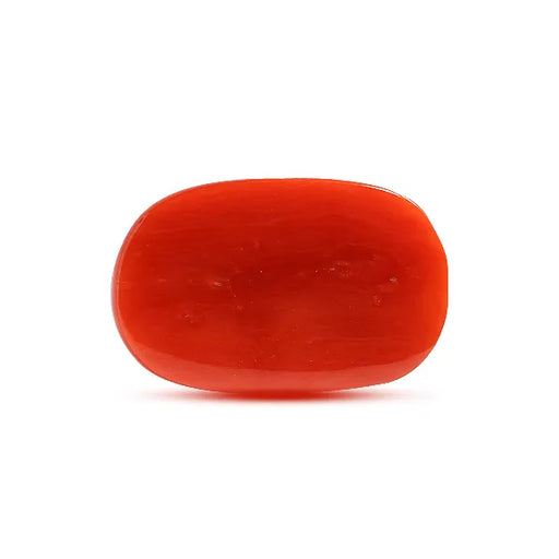 Red Coral - 8.54 carats