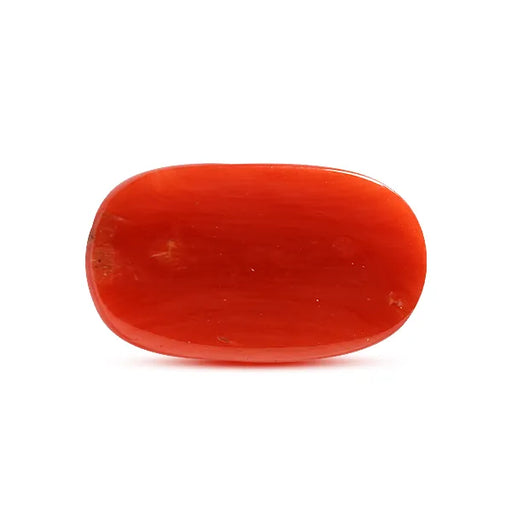 Red Coral - 8.77 carats