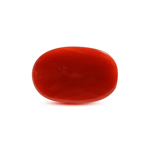 Red Coral - 9.17 carats