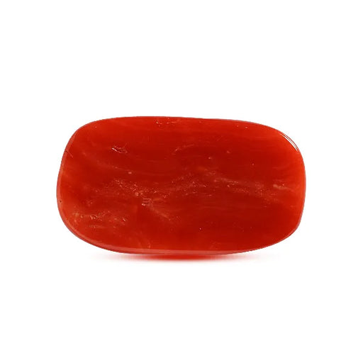 Red Coral - 9.56 carats