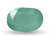 Jade (Crassula)