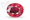 Leo (Sinh)