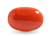 Red Coral (Moonga)
