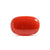 Aries (Mesh)