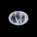 Blue Moonstone - 0.92 Carats