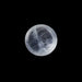 Blue Moonstone - 0.99 Carats