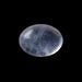 Blue Moonstone - 1.24 Carats