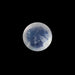 Blue Moonstone - 1.26 Carats